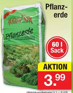 Zimmermann Pflanzerde Angebot