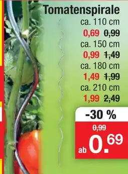Zimmermann Tomatenspirale ca. 110 cm Angebot
