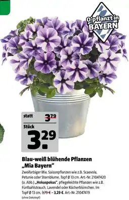 Hagebau Mia bayern Angebot