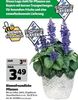 Hagebau Bienenfreundliche pflanzen Angebot