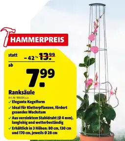 Hagebau Ranksäule Angebot