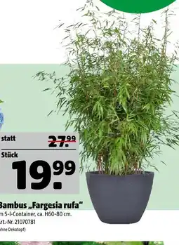 Hagebau Bambus „fargesia rufa“ Angebot