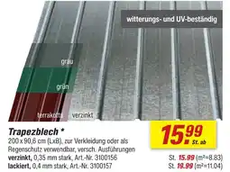 toom Baumarkt Trapezblech lackiert Angebot