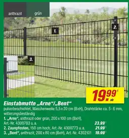 toom Baumarkt Einstabmatte arne Angebot