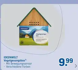 Rossmann Ideenwelt vogelsgesangsbox Angebot