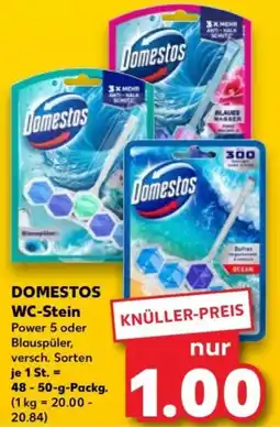 Kaufland Domestos wc-stein Angebot