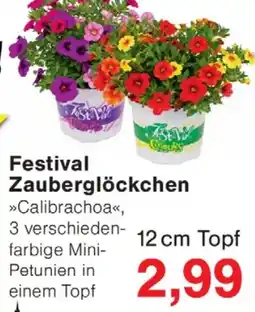 Wiglo Wunderland Festival Zauberglöckchen Angebot