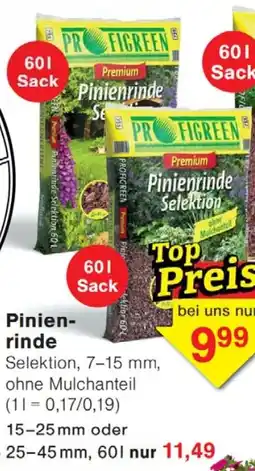 Wiglo Wunderland PROFIGREEN Pinienrinde Angebot