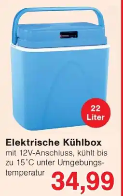 Wiglo Wunderland Elektrische Kühlbox Angebot