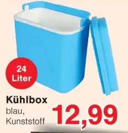 Wiglo Wunderland Kühlbox Angebot