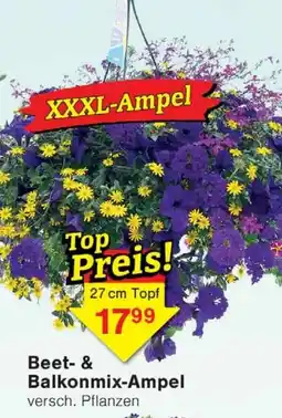 Wiglo Wunderland Beet- & Balkonmix-Ampel Angebot