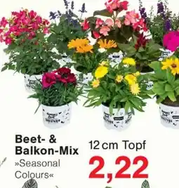 Wiglo Wunderland Beet- & Balkon-Mix Angebot