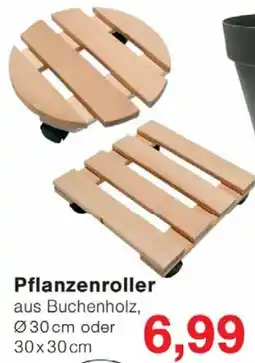Wiglo Wunderland Pflanzenroller Angebot