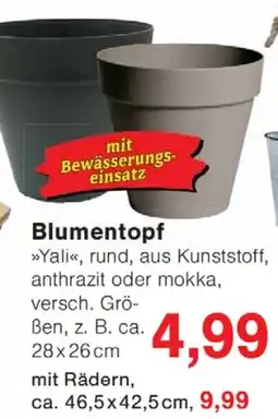 Wiglo Wunderland Blumentopf Angebot