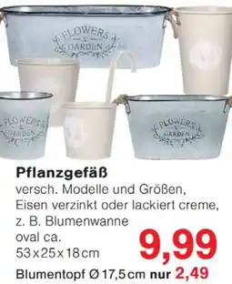 Wiglo Wunderland Pflanzgefäß Angebot