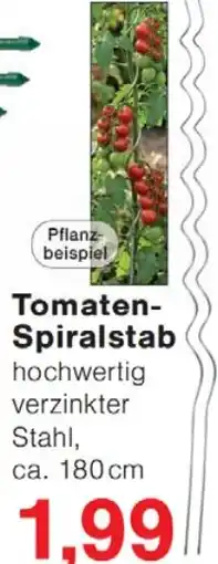 Wiglo Wunderland Tomaten- Spiralstab Angebot