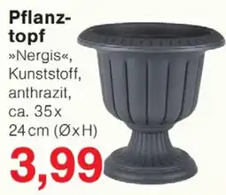 Wiglo Wunderland Pflanztopf Angebot