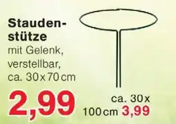 Wiglo Wunderland Staudenstütze Angebot