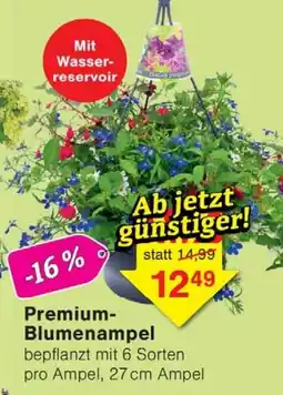 Wiglo Wunderland Premium- Blumenampel Angebot