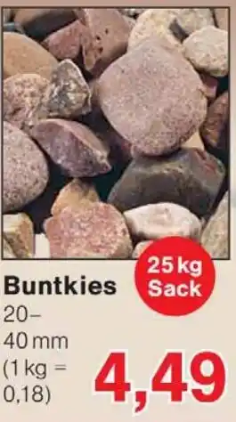 Wiglo Wunderland Buntkies Angebot