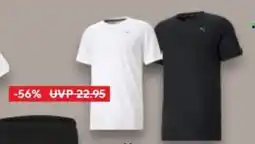 Kaufland PUMA Herren- Funktionsshirt Angebot