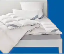 Lidl BALETTE Daunen-Kassettenbettdecke Angebot