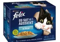 Globus Baumarkt Purina Felix Katzenfutter Angebot