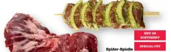 Scheck-in-Center Spider-Spieße Angebot