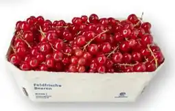 Scheck-in-Center Johannisbeeren Angebot