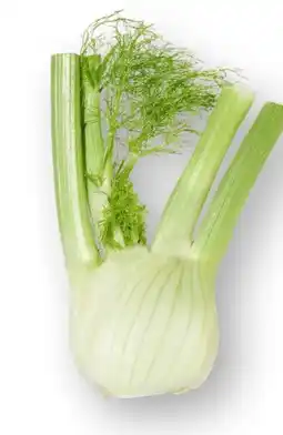 Scheck-in-Center Unsere Heimat Fenchel Angebot
