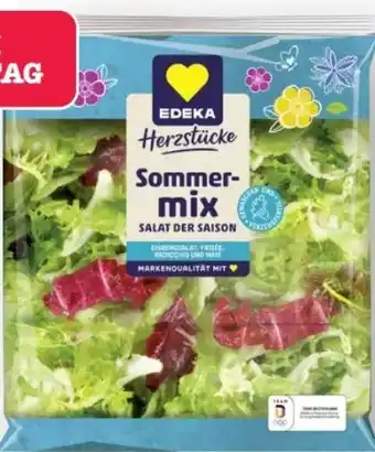 Scheck-in-Center Edeka Herzstücke Salatmischung nach Saison Angebot