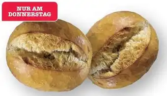 Scheck-in-Center Scheck-in Bäckerei Ofenfrische Brötchen Angebot