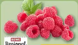 REWE Center Rewe Regional Himbeeren Angebot