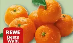 REWE Center Rewe Beste Wahl Clementinen Angebot