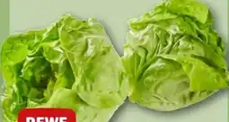 REWE Center Rewe Beste Wahl Kopfsalatherzen Angebot