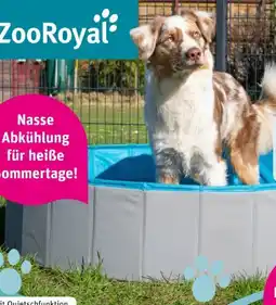 REWE Center ZooRoyal Hundepool Angebot