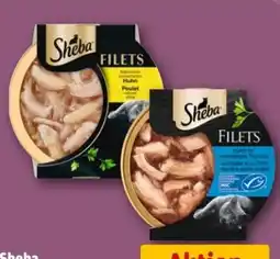 REWE Center Sheba Katzennassfutter Filets Angebot