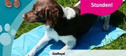 REWE Center ZooRoyal Hundekühlmatte Angebot