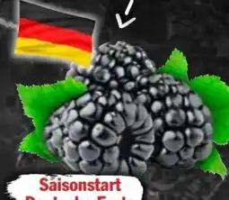 AEZ Brombeeren Angebot