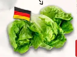 AEZ Salatherzen Angebot