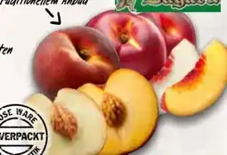 AEZ Domaine Bayard Nektarinen Angebot