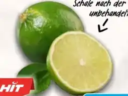 AEZ Limetten Angebot
