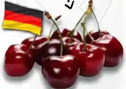 AEZ Süßkirschen Angebot
