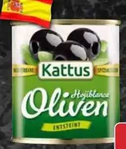 AEZ Kattus Oliven Angebot