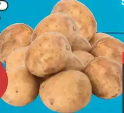 E-Center Pfälzer Grumbeere Speisekartoffeln Angebot