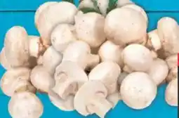 E-Center Gut & Günstig Frische Champignons Angebot
