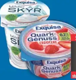 E-Center Exquisa Skyr Angebot