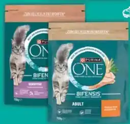 E-Center Purina One Katzennahrung Angebot