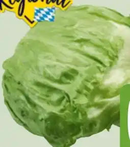 Edeka Xpress Eisbergsalat Angebot