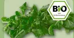 REWE Center Rewe Bio Feldsalat Angebot